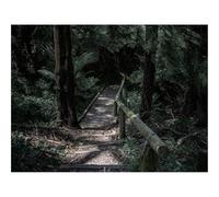 Puzzles for Adults 1500 Pieces-forests,path,bridge 87x57cm