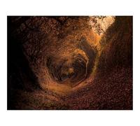 Puzzles for Adults 1500 Pieces-forests,trail,autumn 87x57cm