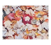 Puzzles for Adults 1500 Pieces-Leaves,Autumn,Drops,Wet 87x57cm