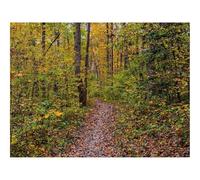 Puzzles for Adults 1500 Pieces-Reed,Grass,Sky,Nature 87x57cm