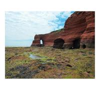 Puzzles for Adults 1500 Pieces-Rocks,Mountains,Hill,Loneliness,Moss 87x57cm