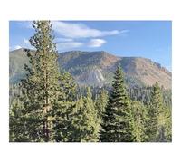 Puzzles for Adults 1500 Pieces-Trees,forests,Mountains,View,Landscape 87x57cm