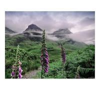 Puzzles for Adults 1500 Pieces-Valley,Mountains,Flowers,Fog,Landscape 87x57cm
