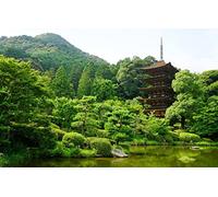 puzzles for adults 2000 Piece Puzzle Challenging Game for The Whole for Women Gifts for Men,Natural Scenery,Pond,Japan,Yamaguchi 70x100CM