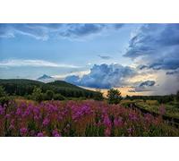 puzzles for adults 2000 Piece Puzzle Educational Games Home Decoration Gifts for MenNatural Scenery,Roads,Fields,Clouds,Hills 70x100CM