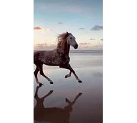 Puzzles for Adults 2000 Pieces Horse Animal Wall Home Decoration Educational Toys Intelligence Game Gift70x100cm