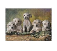 Puzzles for Adults 38x26cm/1000pcs Adorable Yellow Labrador Puppies Puzzles for Adults Brain Teaser Game Perfect Decoration Unique Birthday And Xmas Gifts 38x26cm/1000pcs