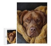 Puzzles for Adults 500 PCS Puzzles Cozy Brown Labrador Retriever Portrait Puzzles for Adults Brain Teaser Game Perfect Decoration Deal As Gifts for The Whole Family 500 PCS