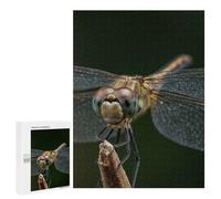 Puzzles for Adults 500 PCS Puzzles Dragonfly Close-Up on Twig Puzzles for Adults Brain Teaser Game Perfect Decoration Deal As Gifts for The Whole Family 500 PCS