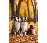 Puzzles For Adults 500 Pieces, Impossible Hard Difficult Challenging Puzzles For Adults,Families Australian Shepherds, In Autumn Park, Challenging Puzzle Perfect For Game Nights
