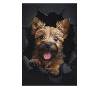 Puzzles for Adults 75x50cm/1000pcs Norwich Terrier Jigsaws for Adults Brain Teaser Game Difficult Hard Challenging Game Gifts 75x50cm/1000pcs