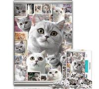 Puzzles for Adults British Shorthair Cat Collage Adult Jigsaw Puzzles 1000 Pieces,Family Game Stress Reliever Difficult Challenge Great Gifts And Toys 26x38cm