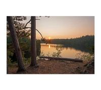 Puzzles for Adults Funny Setting Woods - Large Puzzle Game Artwork for Adults Teens_500pcs