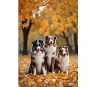 Puzzles For Adults, Impossible Hard Difficult Challenging Puzzles For Adults, Families Australian Shepherds, In Autumn Park, Challenging Puzzle Perfect For Game Nights 500 Pcs