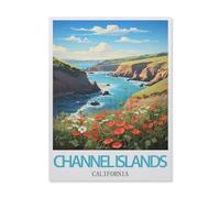 Puzzles for Adults Jigsaw Puzzles 1000 Pieces for Adults Kids，Channel Islands California，Artwork Intellective Educational Toys Gifts（50x70cm）-F89