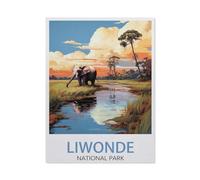 Puzzles for Adults Jigsaw Puzzles 1000 Pieces for Adults Kids,Liwonde National Park Malawi Vintage Travel Poster,paper Puzzle Jigsaw Puzzle Artwork Intellective Educational Toys Gifts(38x26cm)-BC41