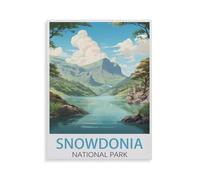 Puzzles for Adults Jigsaw Puzzles 1000 Pieces for Adults Kids，Snowdonia National Park，Wooden Puzzle Jigsaw Puzzle Artwork Intellective Educational Toys Gifts（75x50cm）-HE23