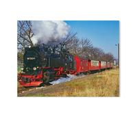 Puzzles for Adults Jigsaw Puzzles 1000 Pieces for Adults Kids,Steam Locomotive of the Harz Narrow-Gauge Railways,Paper Puzzle Jigsaw Puzzle Artwork Intellective Educational Toys Gifts(38x26cm)-AB86