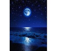Puzzles for Adults Jigsaw Puzzles with Letters on Back Romantic Scene The sea Night Difficult Hard Cool Puzzle Clearance 1000 Pieces