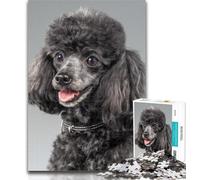 Puzzles for Adults Poodle Jigsaws Puzzles 1000 Pieces for Teenagers Gifts,DIY Birthday Gifts for Teens And Adults 50x75cm
