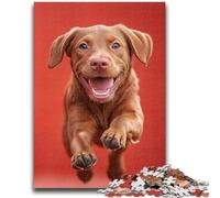 Puzzles for Adults Teens 1000 Pieces Happy Labrador Challenging Game And Family Play for Is Ideal As A Gift for The Whole Family 50x75cm