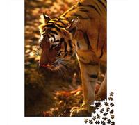 Puzzles for Teenagers 1000 Piece Tiger Wildlife Photography-2 Puzzles for Adults Brain Teaser Game Improve Memory Fun Activities at Home 38x26cm/1000pcs