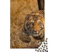 Puzzles for Teenagers 1000 Piece Tiger Wildlife Photography Puzzles for Adults Brain Teaser Game Improve Memory Fun Activities at Home 70x50cm/1000pcs