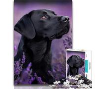 Puzzles for Teenagers 1000 Pieces Lavender And Labrador Teenager Puzzles,is Ideal As Gifts for The Whole Family Suitable for And 14 (size 38x26cm)