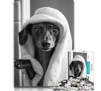 Puzzles for Teenagers Dachshund Taking A Bath Jigsaw Puzzle 1000 Pieces for Teenagers,Decompressing Intellectual Educational Toy Birthday Present, Gifts 26x38cm