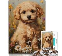 Puzzles for Teenagers Teens 1000pc Puzzle Cockapoo Puppy,Educational Family Game Wall Decoration Unique Birthday And Xmas Gifts 38x26cm