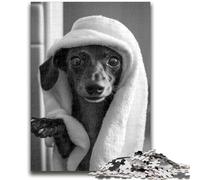 Puzzles for Teenagers Teens 1000pc Puzzle Dachshund Taking A Bath Challenging Game And Family Play Wall Decoration Unique Birthday And Xmas Gifts 38x26cm