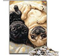 Puzzles for Teenagers Teens 1000pc Puzzle Two Pugs, Games Toys Gift Unique Birthday And Gifts for And Age 14 Years Up (Size 50x75cm)