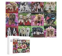 Puzzles for Teenagerss 300 PCS Cute Puppies Garden Basket Jigsaw Puzzle Fun Games Pattern Assembly Unique Birthday And Xmas Gifts 300 PCS