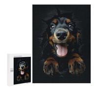 Puzzles for Teenagerss 500 PCS Gordon Setter Jigsaw Puzzle Fun Games Pattern Assembly Unique Birthday And Xmas Gifts 500 PCS
