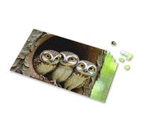 Puzzles For Toddlers 2-4 Three Owls With Big Eyes Looking Out Of A Tree Hollow Picture Puzzle 3 Year Old Girl Gifts Spot It Game For Kids(1000PCS)