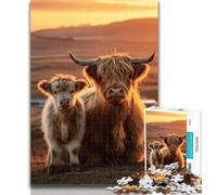 Puzzles Highland Cow 1000 Piece Jigsaw Puzzles for Adults Gifts,is Ideal As A Gift for The Whole Family Suitable for And 14 26x38cm