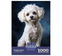 Puzzles Pour Adolescents 1000 Pièces White Poodle Portrait Puzzles Pour Adultes Jeux Relaxants Analyse Et Logique Difficulté Et Défi 70x50cm/1000pcs