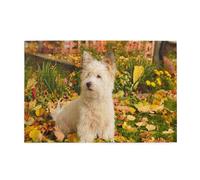 Puzzles, Puzzles für Erwachsene, anspruchsvolles Puzzle, 1500 Teile, Bilderpuzzle, Westie Autumn West Highland White Terrier Hunde, 57x87cm