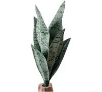 PVC Artificial Sansevieria 33cm Lifelike Green Leaves(Light Green) | Soft flexible PVC, lifelike leaf texture, natural green shades, 33cm height, no watering required