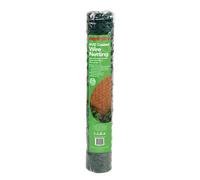 PVC Coated Chicken Wire Netting 10M X 50MM .5M Green Gauge 21