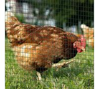 PVC Coated Welded Wire Mesh Chicken Poultry Aviary Fence Run Hutch Pet Rabbit