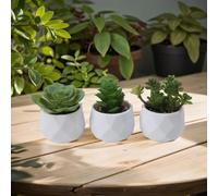 PVC Fake Succulent Set 3pcs Realistic Office Decor(set1)