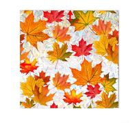 PVC for Static Clings Stickers Leaves No Glue PVC for Static | Double-sided print, visible inside out, 40x100cm large sheet, no glue needed, reusable design