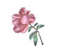 PVC Guitar Head Sticker Removable Inlay Sticker Guitar Headstock Decal Decoration Stickers Guitar Beginner Gifts