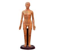 PVC Meridian Model Human Acupuncture Point Women Man Body Model 40Cm Medical Education Appliances Male Female Gold White Copper(Yellow woman)