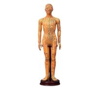 PVC Meridian Model Human Acupuncture Point Women Man Body Model 40Cm Medical Education Appliances Male Female Gold White Copper(Yellow man)