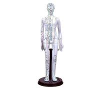 PVC Meridian Model Human Acupuncture Point Women Man Body Model 40Cm Medical Education Appliances Male Female Gold White Copper(White woman)