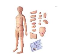 PVC Patient Care Skill Dummy Model Nursing Training Manikin,Demonstration Human Manikin for Nursing Training,Training Simulator,170 Cm Male & Female Anatomical Mannequin