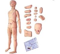 PVC Patient Care Skill Dummy Model Nursing Training Manikin,for Training,Training Simulator,170cmMale Female Anatomical Mannequin