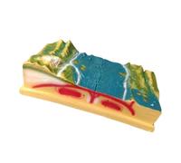 PVC Plate Tectonics Model with 3D Landform Terrain